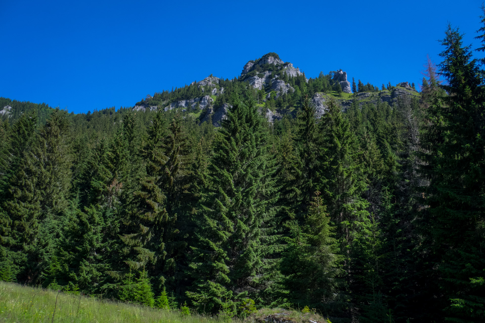 Krakova hoľa od Stanišovskej doliny, ústie (Nízke Tatry)