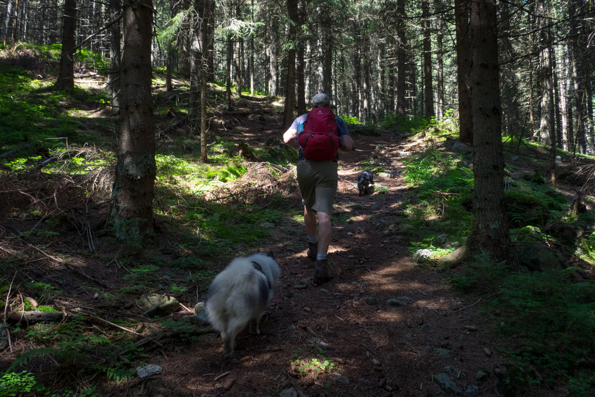 Krakova hoľa od Stanišovskej doliny, ústie (Nízke Tatry)