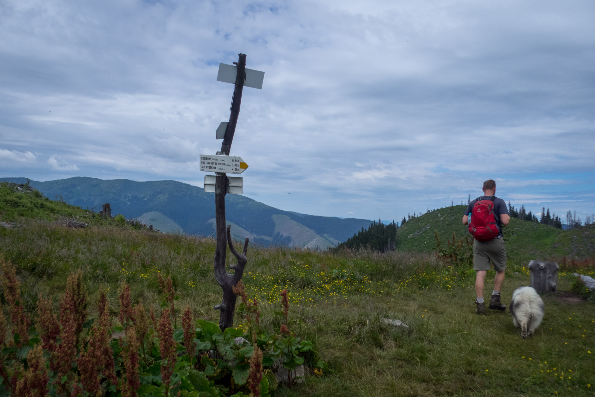 Krakova hoľa od Stanišovskej doliny, ústie (Nízke Tatry)