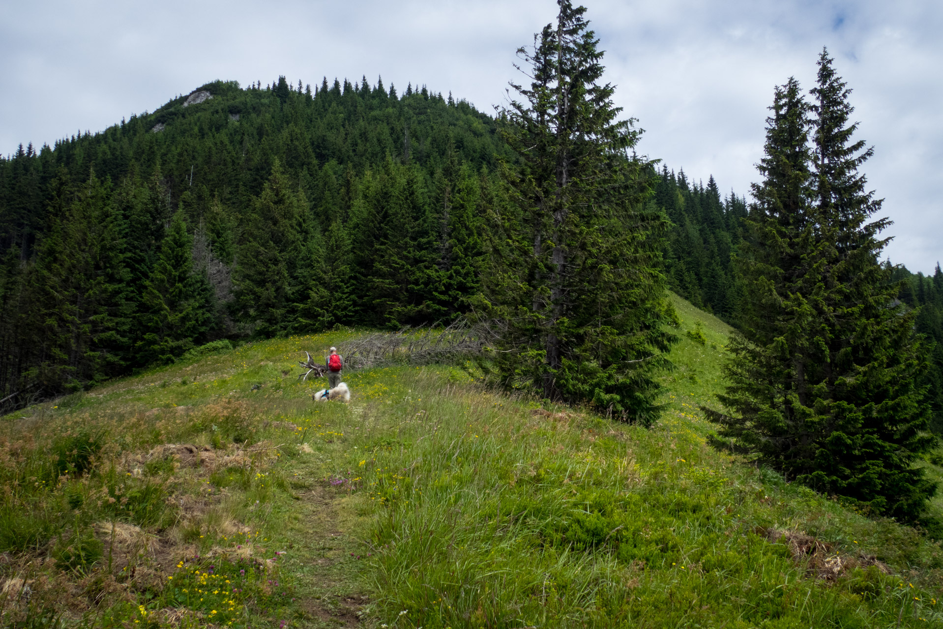 Krakova hoľa od Stanišovskej doliny, ústie (Nízke Tatry)