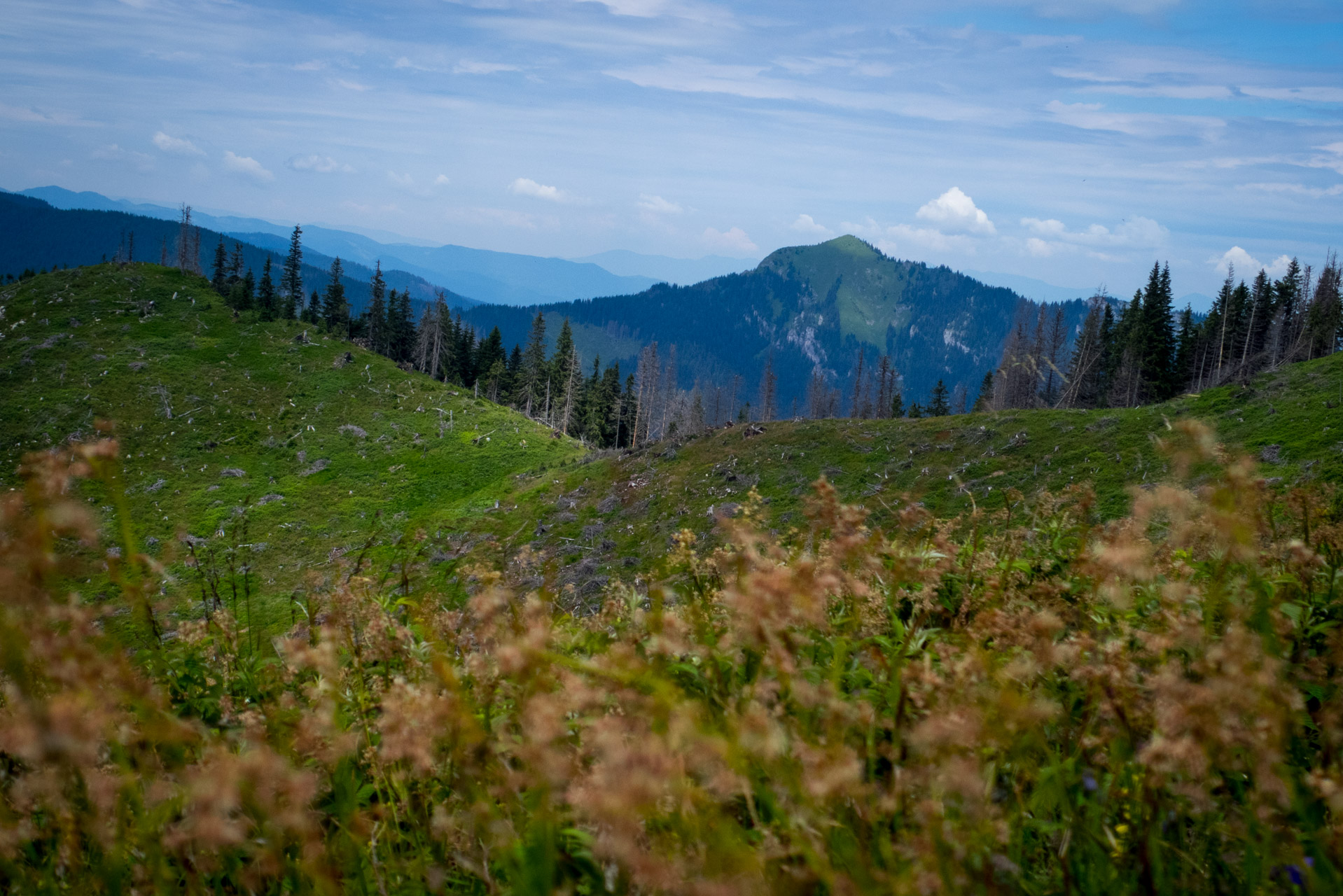 Krakova hoľa od Stanišovskej doliny, ústie (Nízke Tatry)