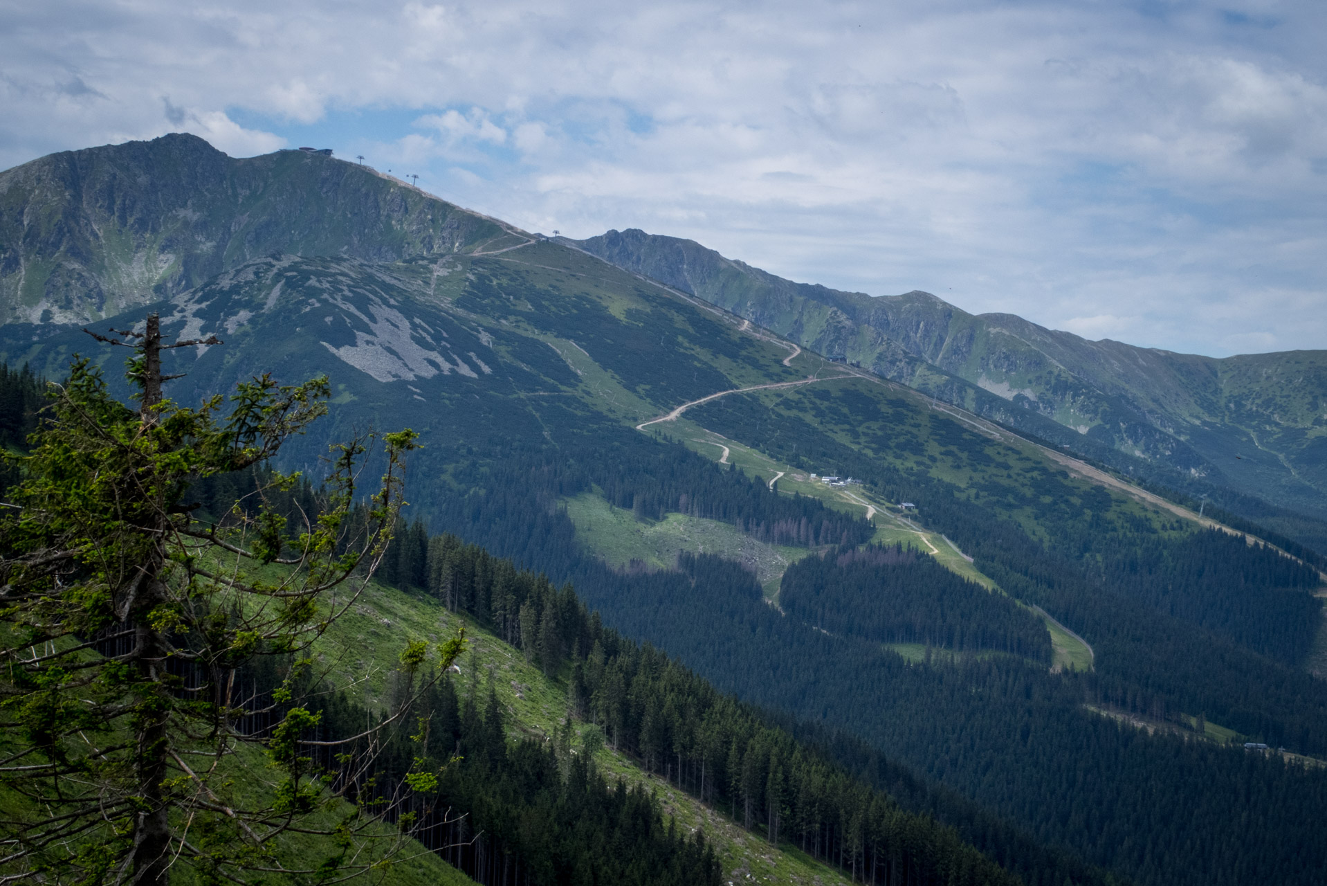 Krakova hoľa od Stanišovskej doliny, ústie (Nízke Tatry)