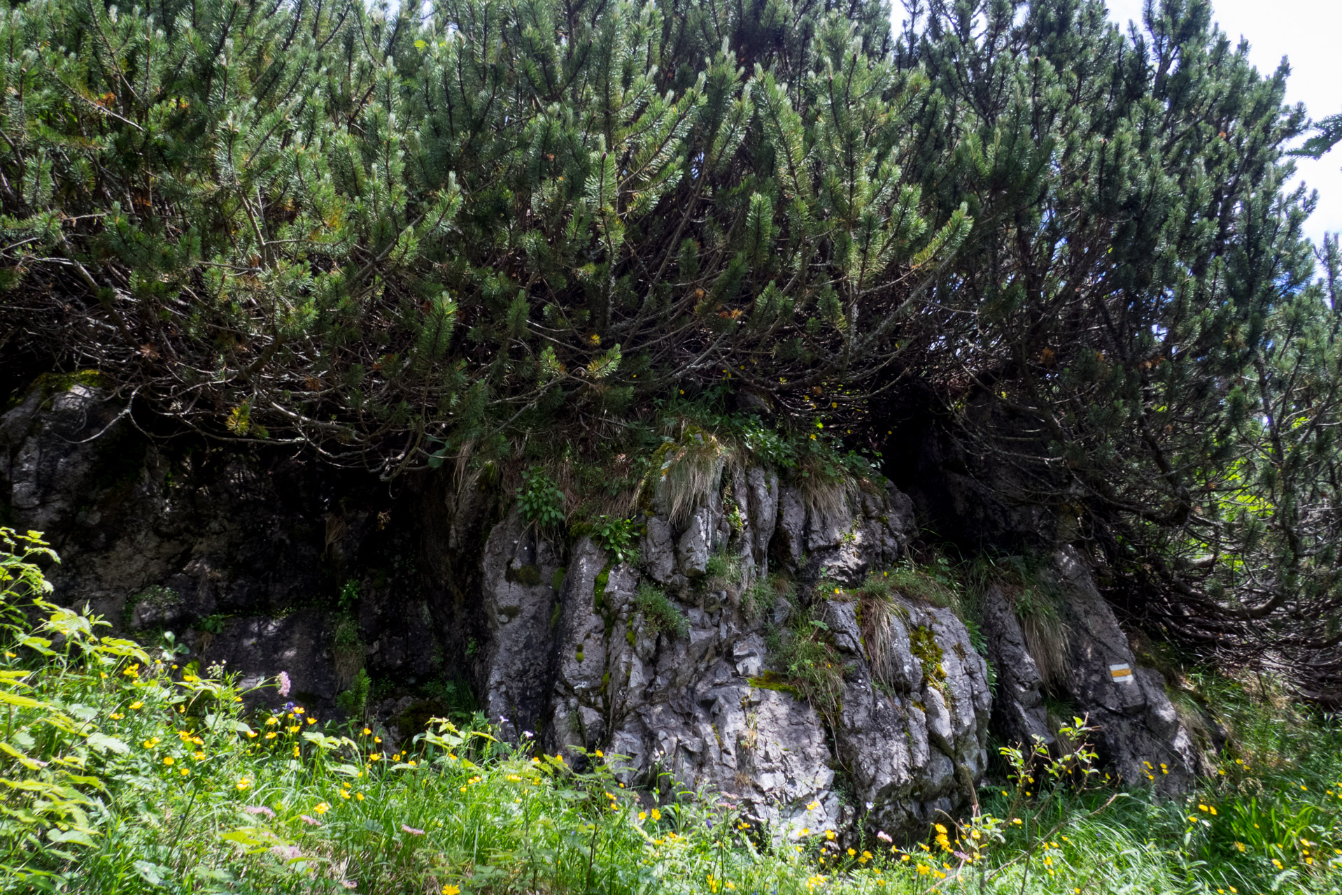 Krakova hoľa od Stanišovskej doliny, ústie (Nízke Tatry)