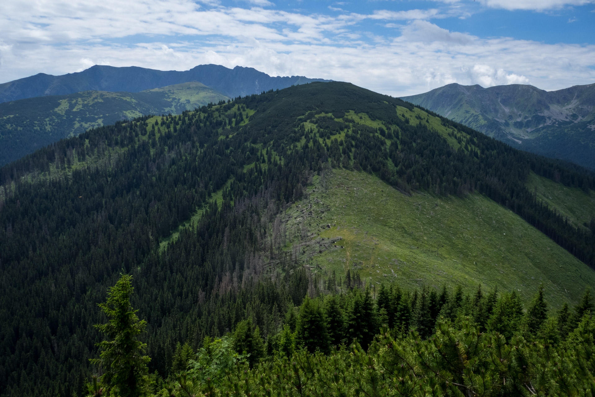 Krakova hoľa od Stanišovskej doliny, ústie (Nízke Tatry)