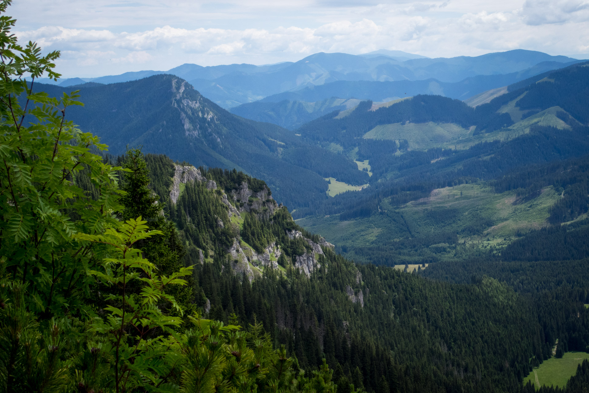 Krakova hoľa od Stanišovskej doliny, ústie (Nízke Tatry)