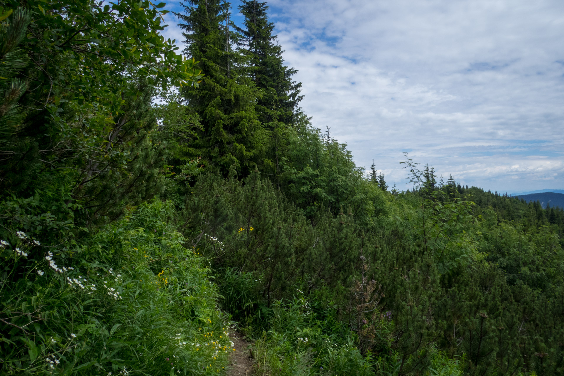 Krakova hoľa od Stanišovskej doliny, ústie (Nízke Tatry)