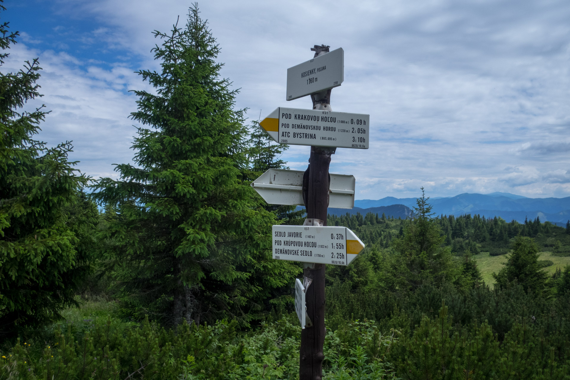 Krakova hoľa od Stanišovskej doliny, ústie (Nízke Tatry)