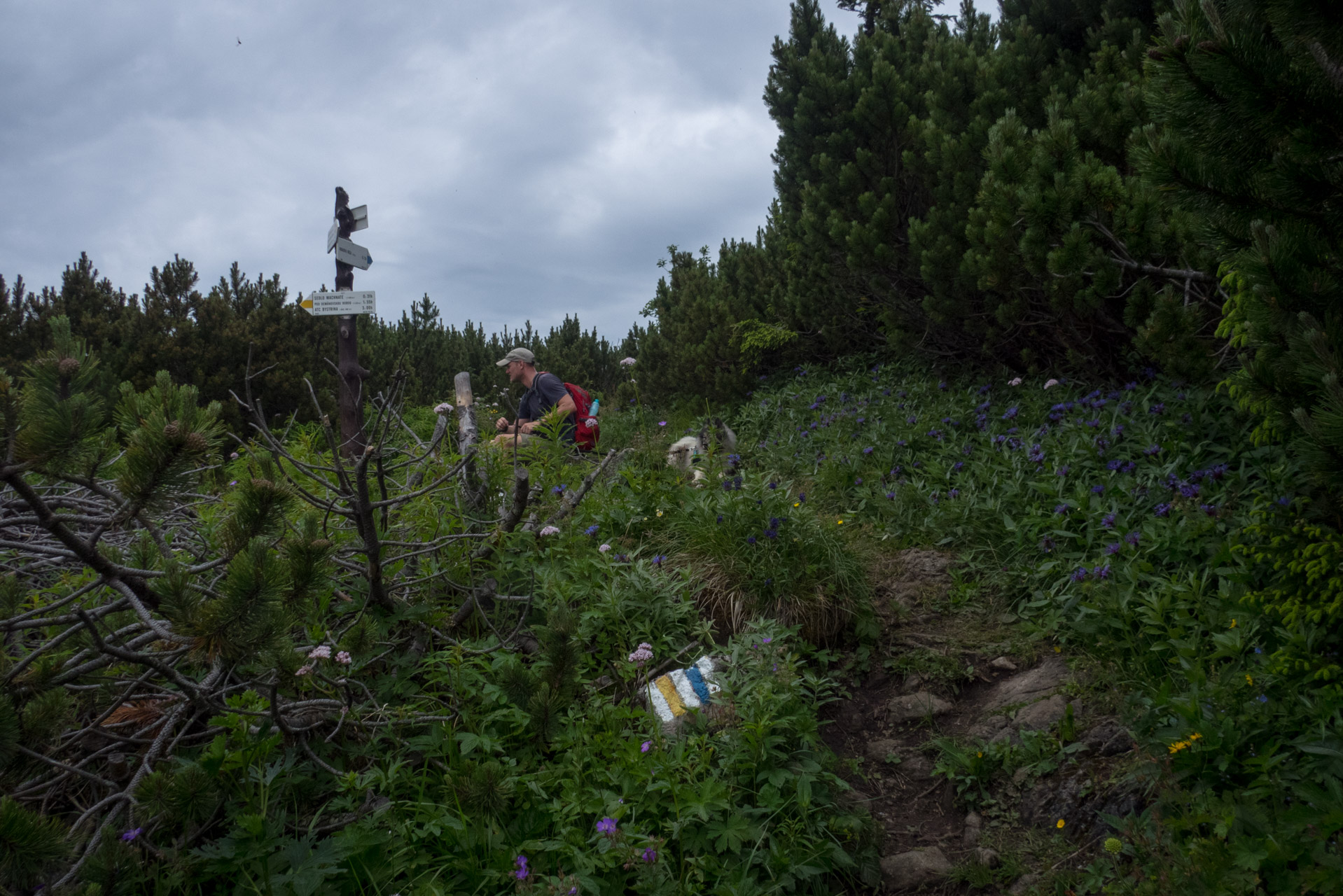 Krakova hoľa od Stanišovskej doliny, ústie (Nízke Tatry)