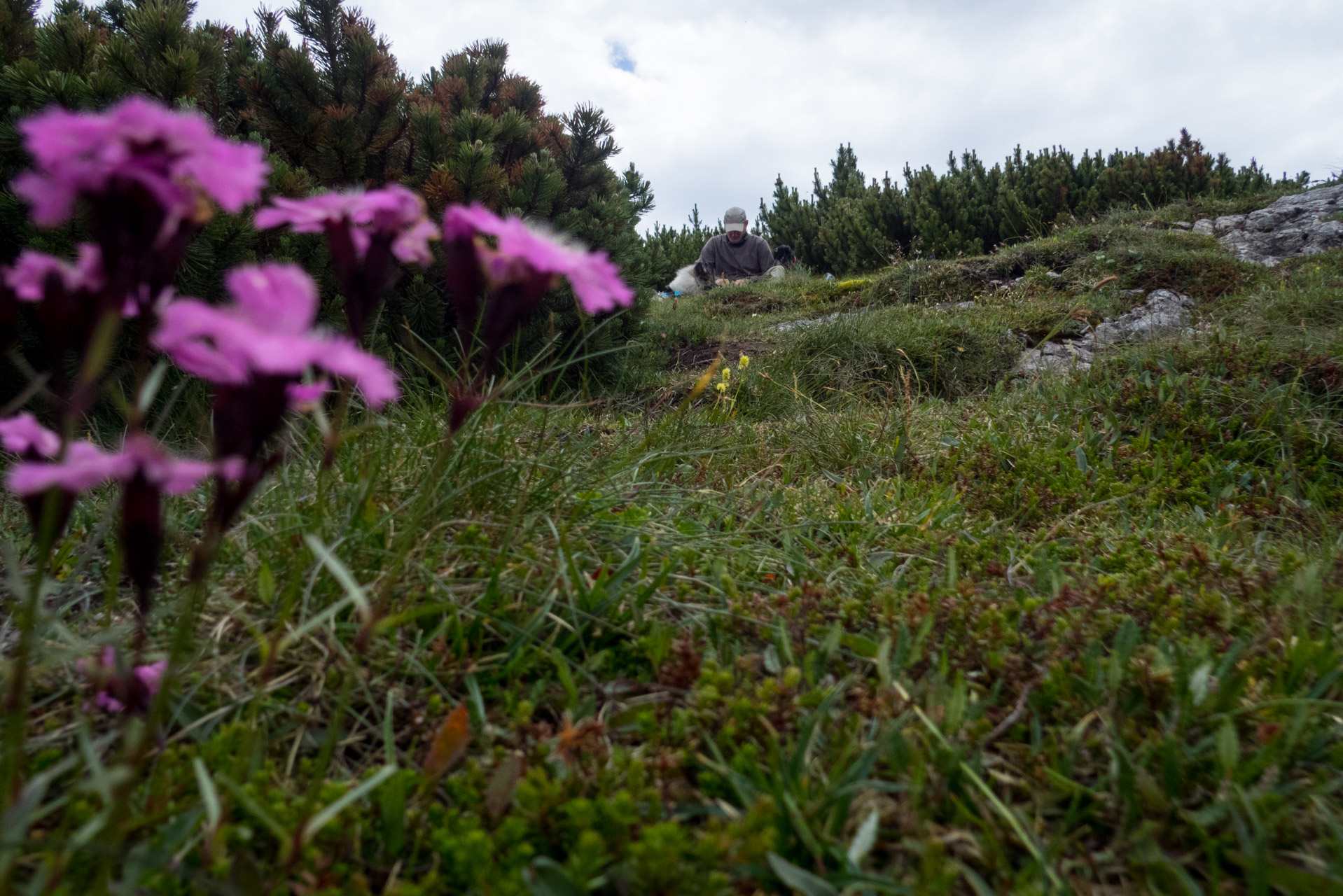 Krakova hoľa od Stanišovskej doliny, ústie (Nízke Tatry)