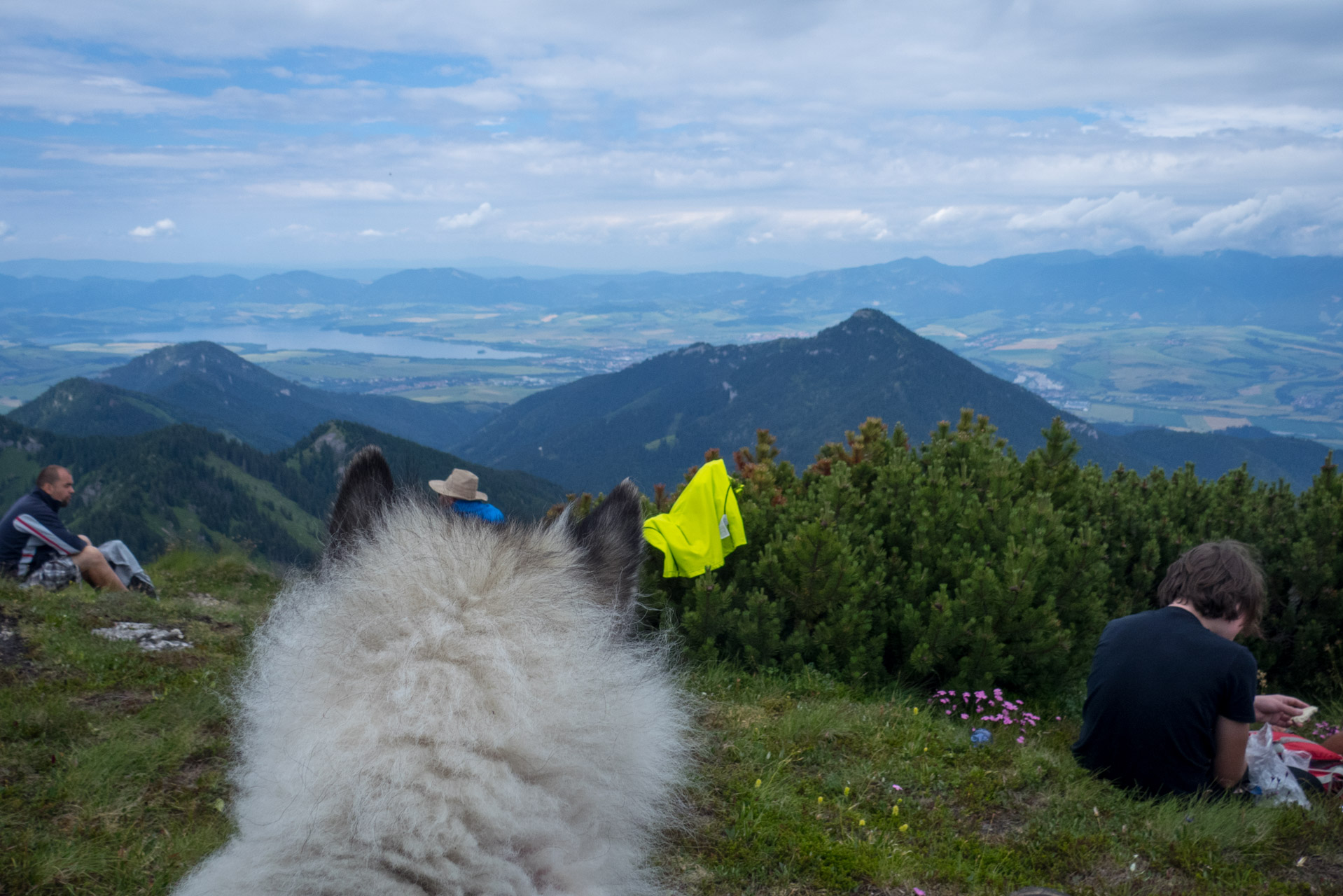 Krakova hoľa od Stanišovskej doliny, ústie (Nízke Tatry)