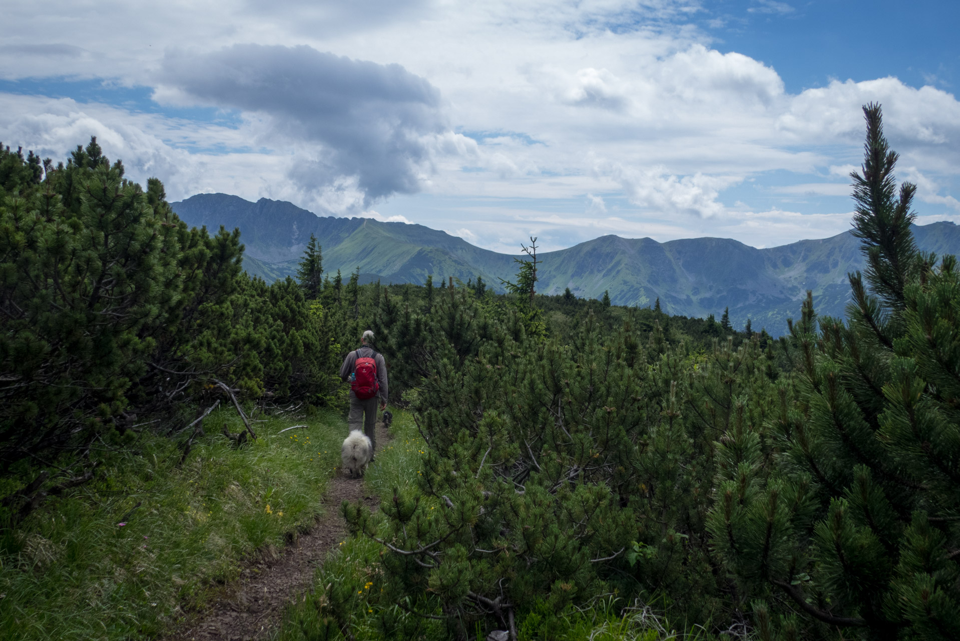 Krakova hoľa od Stanišovskej doliny, ústie (Nízke Tatry)