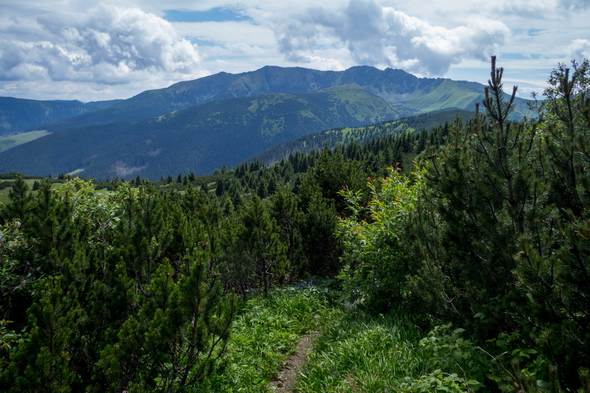 Krakova hoľa od Stanišovskej doliny, ústie (Nízke Tatry)