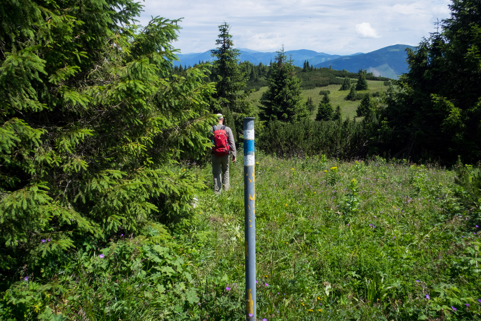 Krakova hoľa od Stanišovskej doliny, ústie (Nízke Tatry)