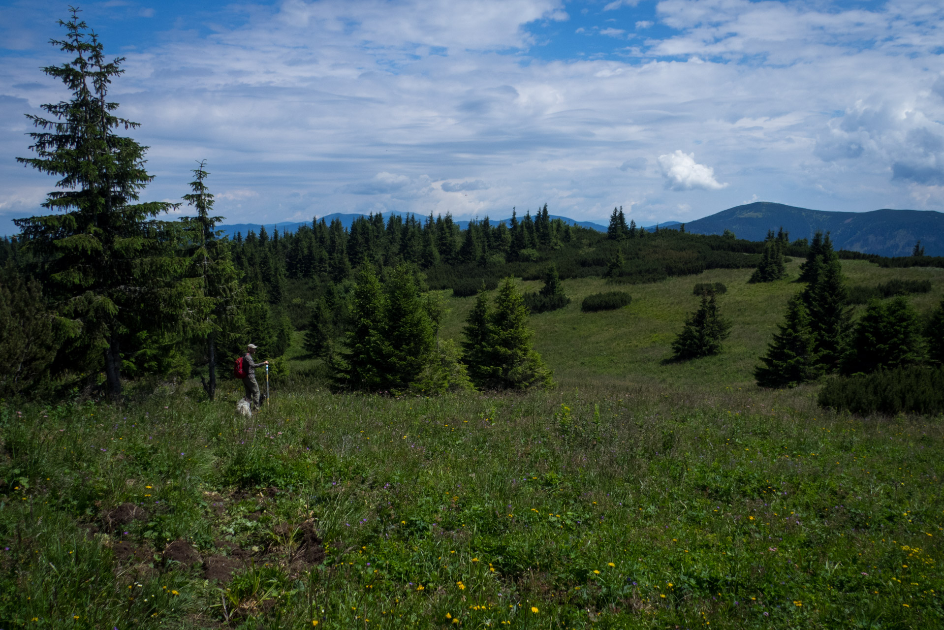 Krakova hoľa od Stanišovskej doliny, ústie (Nízke Tatry)