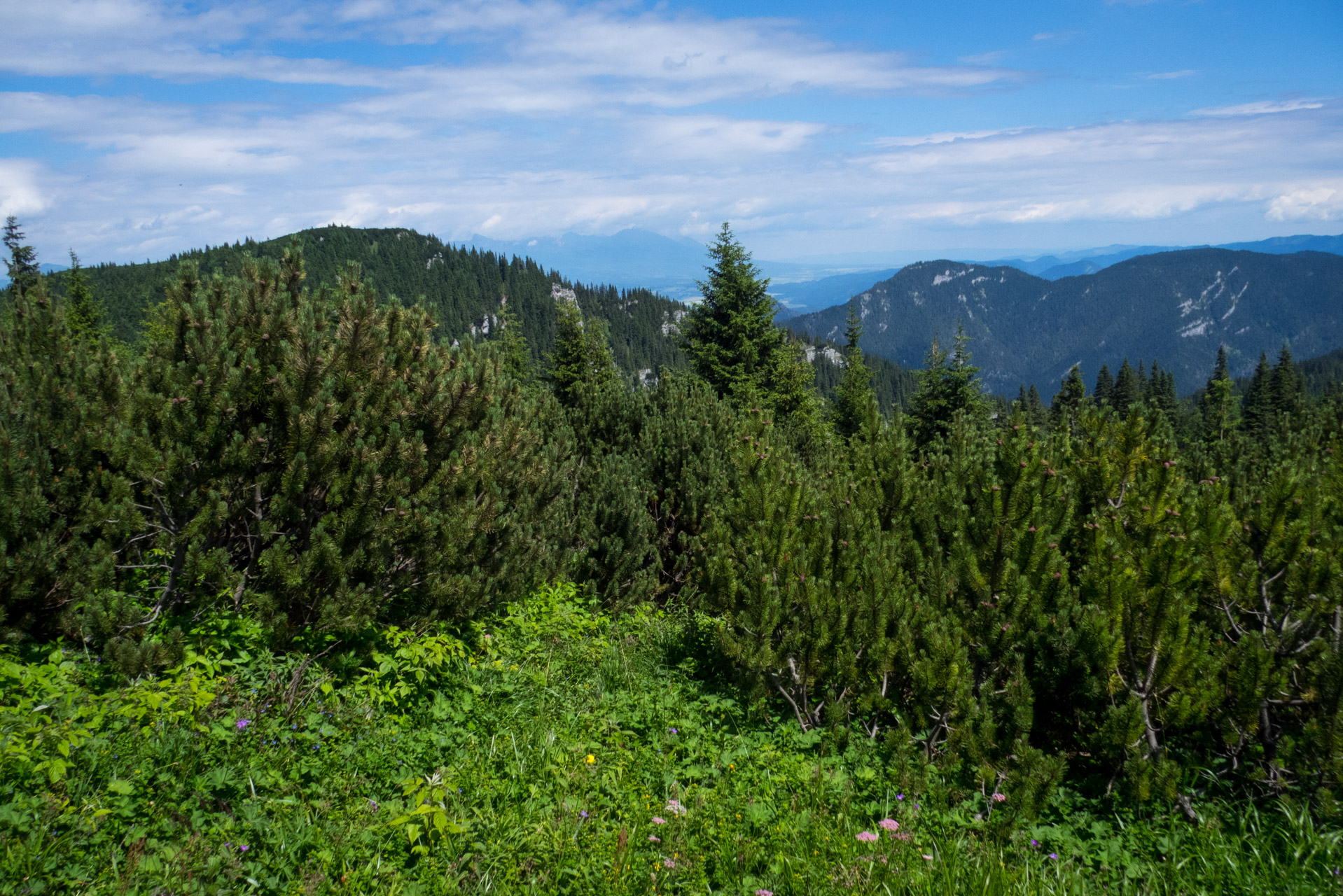 Krakova hoľa od Stanišovskej doliny, ústie (Nízke Tatry)