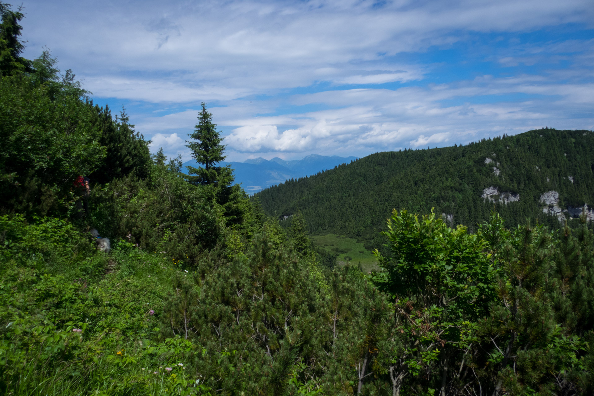 Krakova hoľa od Stanišovskej doliny, ústie (Nízke Tatry)