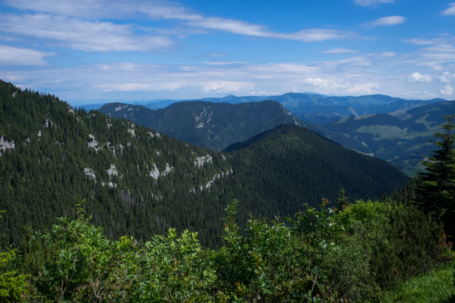 Krakova hoľa od Stanišovskej doliny, ústie (Nízke Tatry)