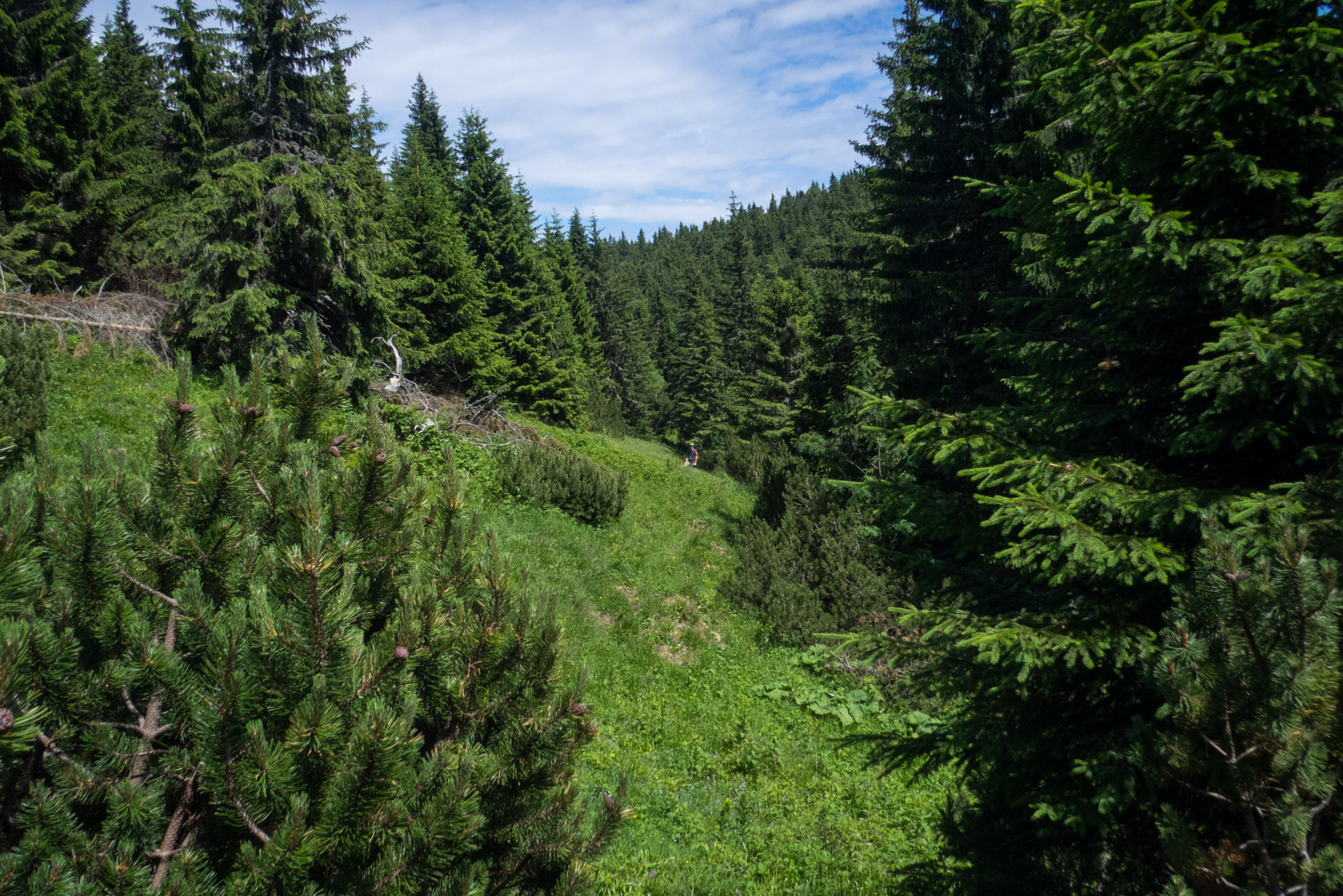 Krakova hoľa od Stanišovskej doliny, ústie (Nízke Tatry)