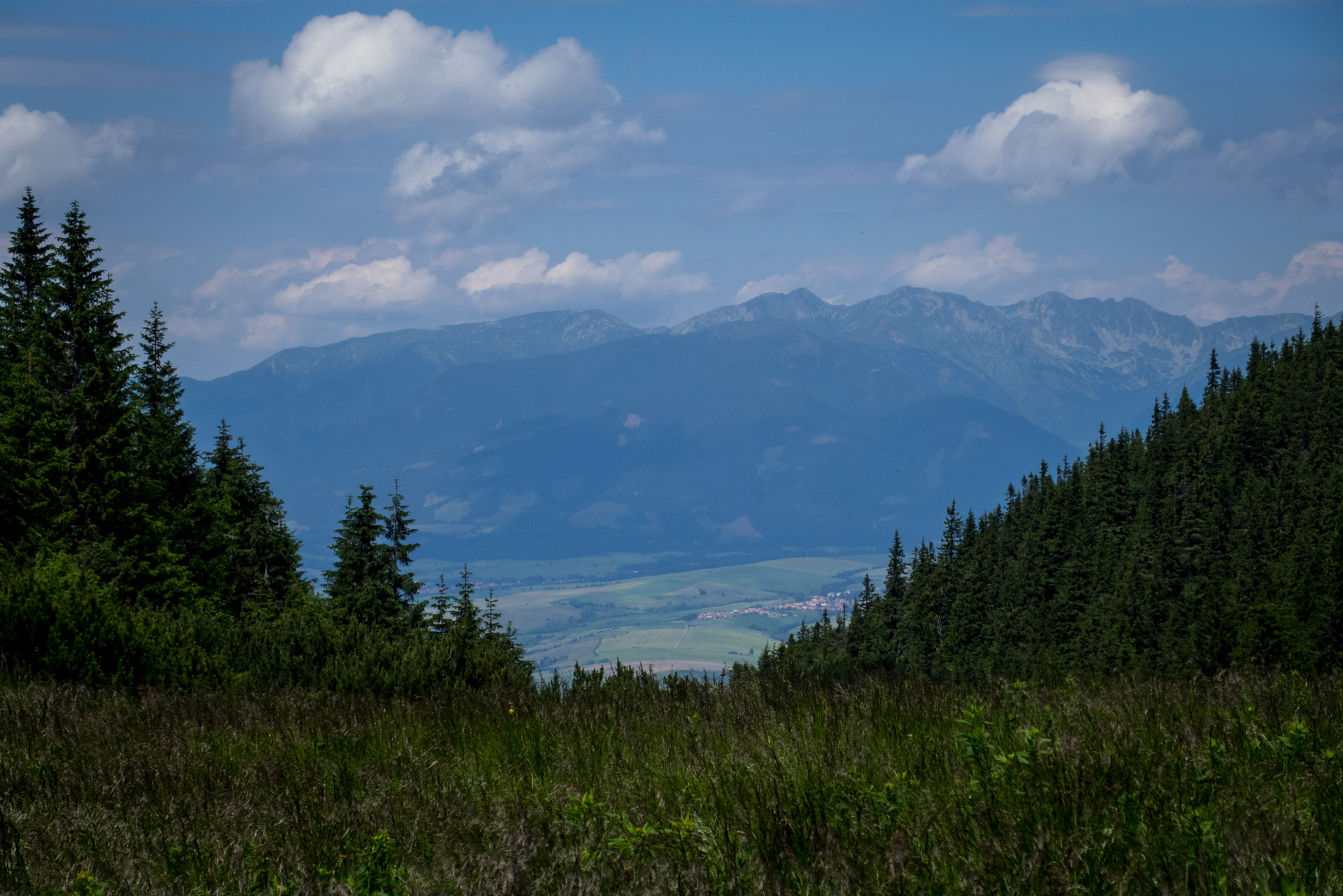 Krakova hoľa od Stanišovskej doliny, ústie (Nízke Tatry)