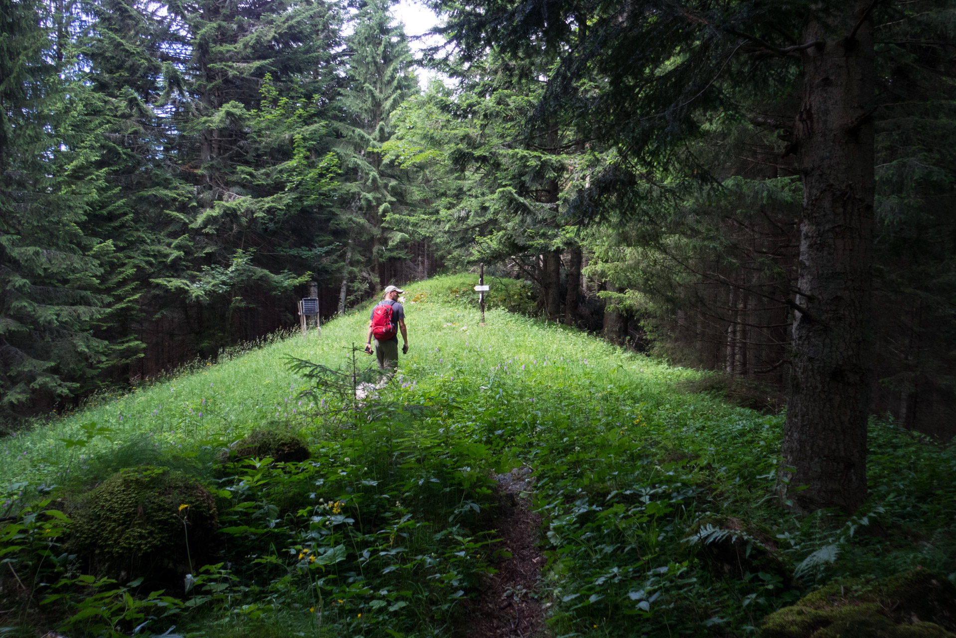 Krakova hoľa od Stanišovskej doliny, ústie (Nízke Tatry)