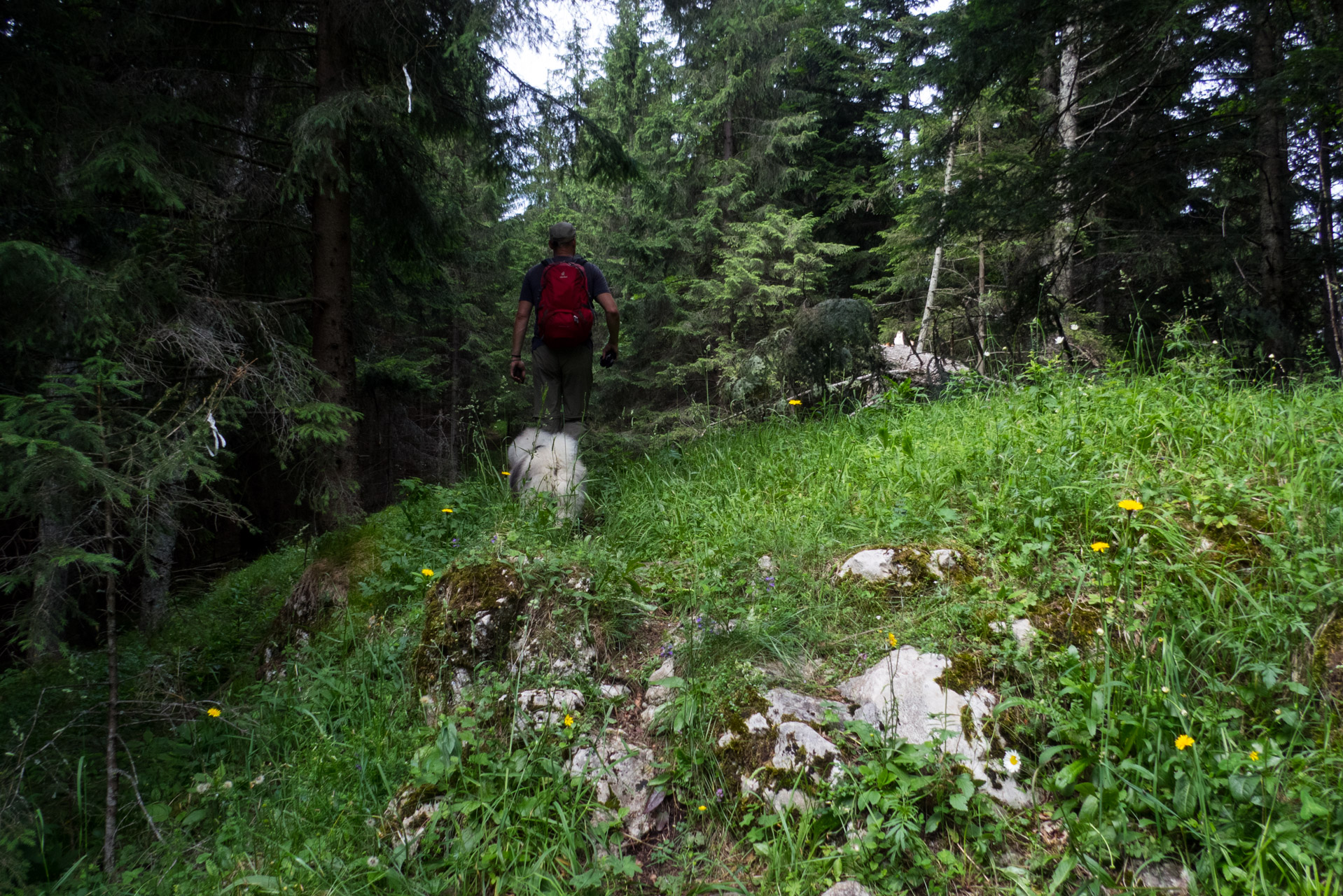 Krakova hoľa od Stanišovskej doliny, ústie (Nízke Tatry)