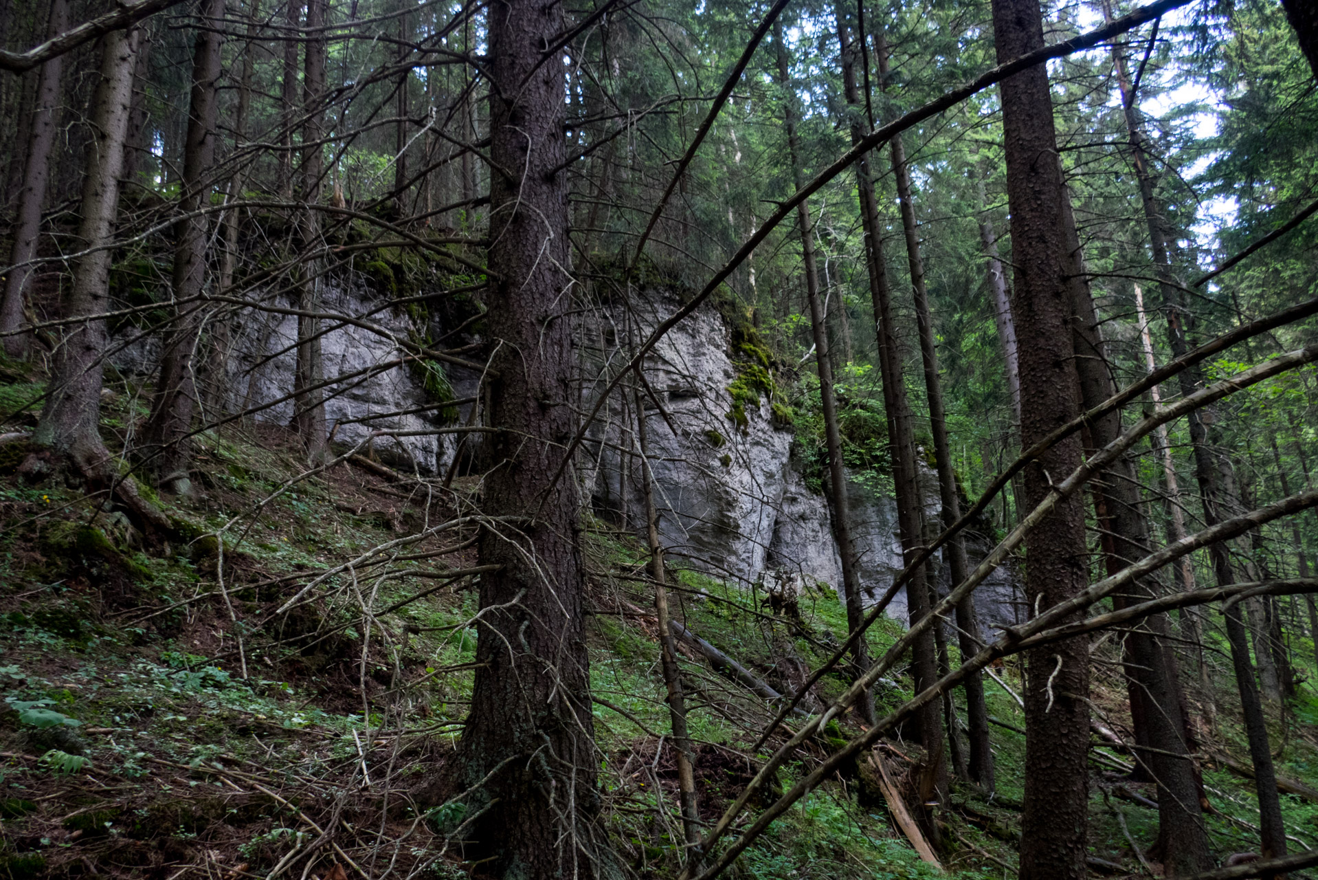 Krakova hoľa od Stanišovskej doliny, ústie (Nízke Tatry)