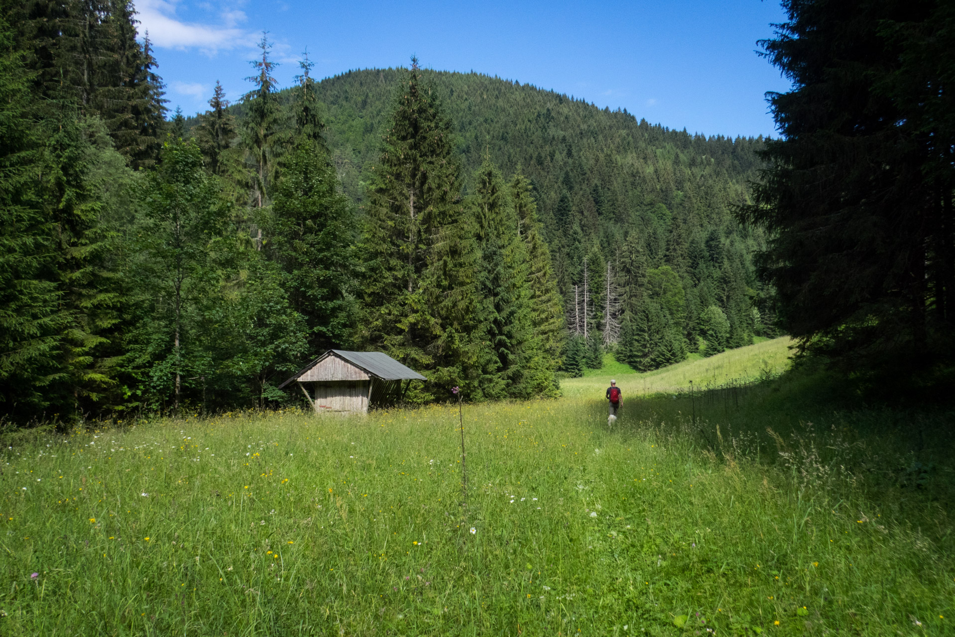 Krakova hoľa od Stanišovskej doliny, ústie (Nízke Tatry)