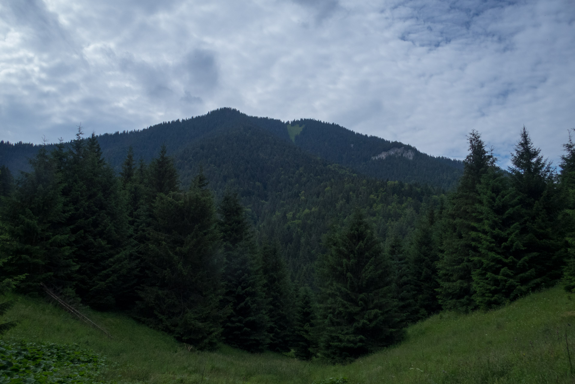 Krakova hoľa od Stanišovskej doliny, ústie (Nízke Tatry)