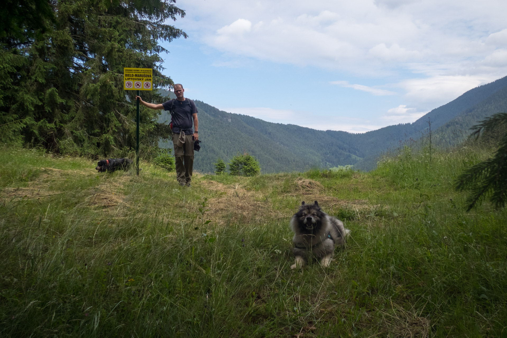 Krakova hoľa od Stanišovskej doliny, ústie (Nízke Tatry)