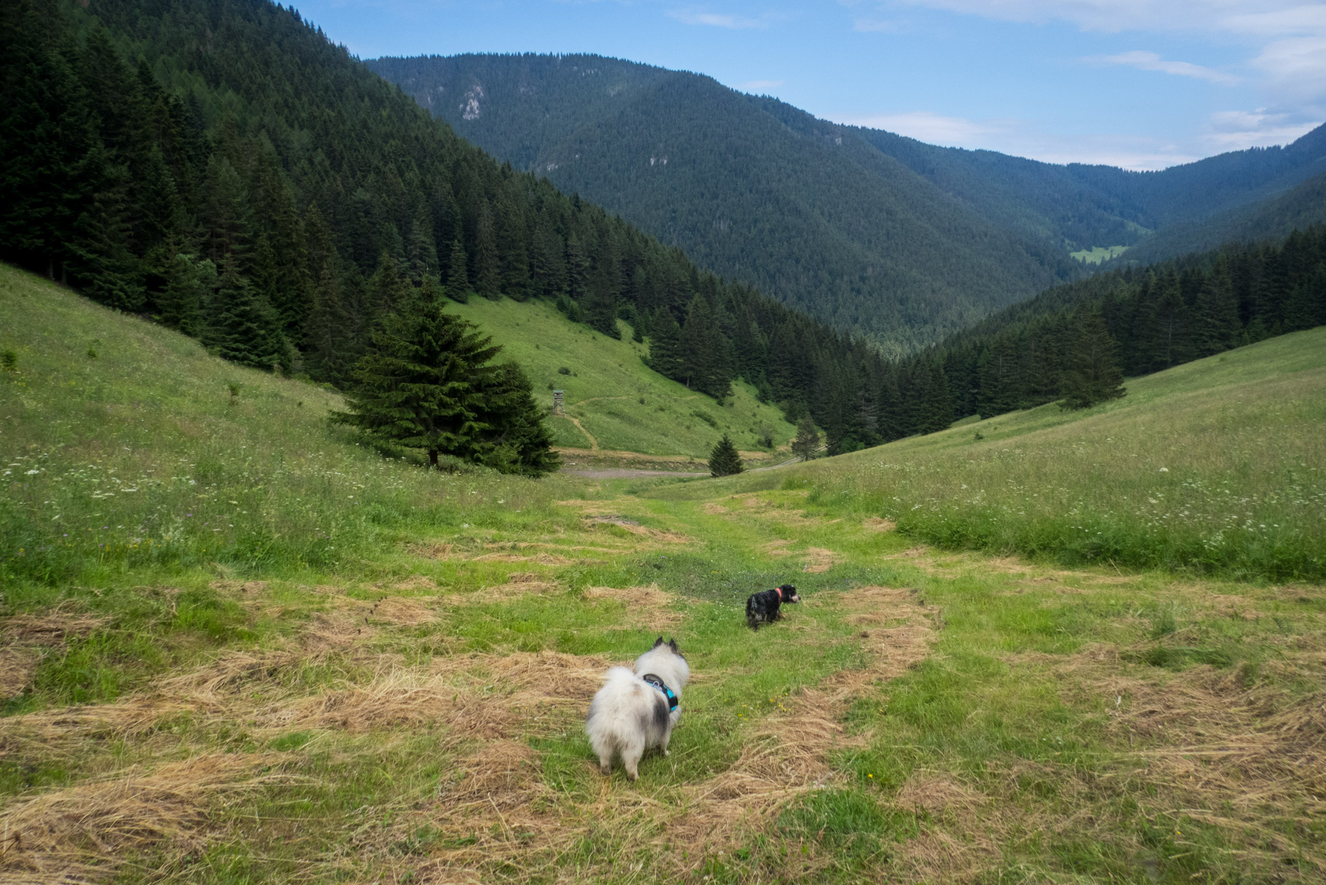 Krakova hoľa od Stanišovskej doliny, ústie (Nízke Tatry)