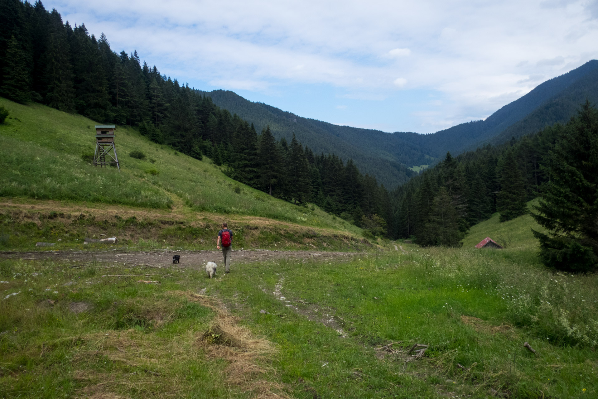 Krakova hoľa od Stanišovskej doliny, ústie (Nízke Tatry)