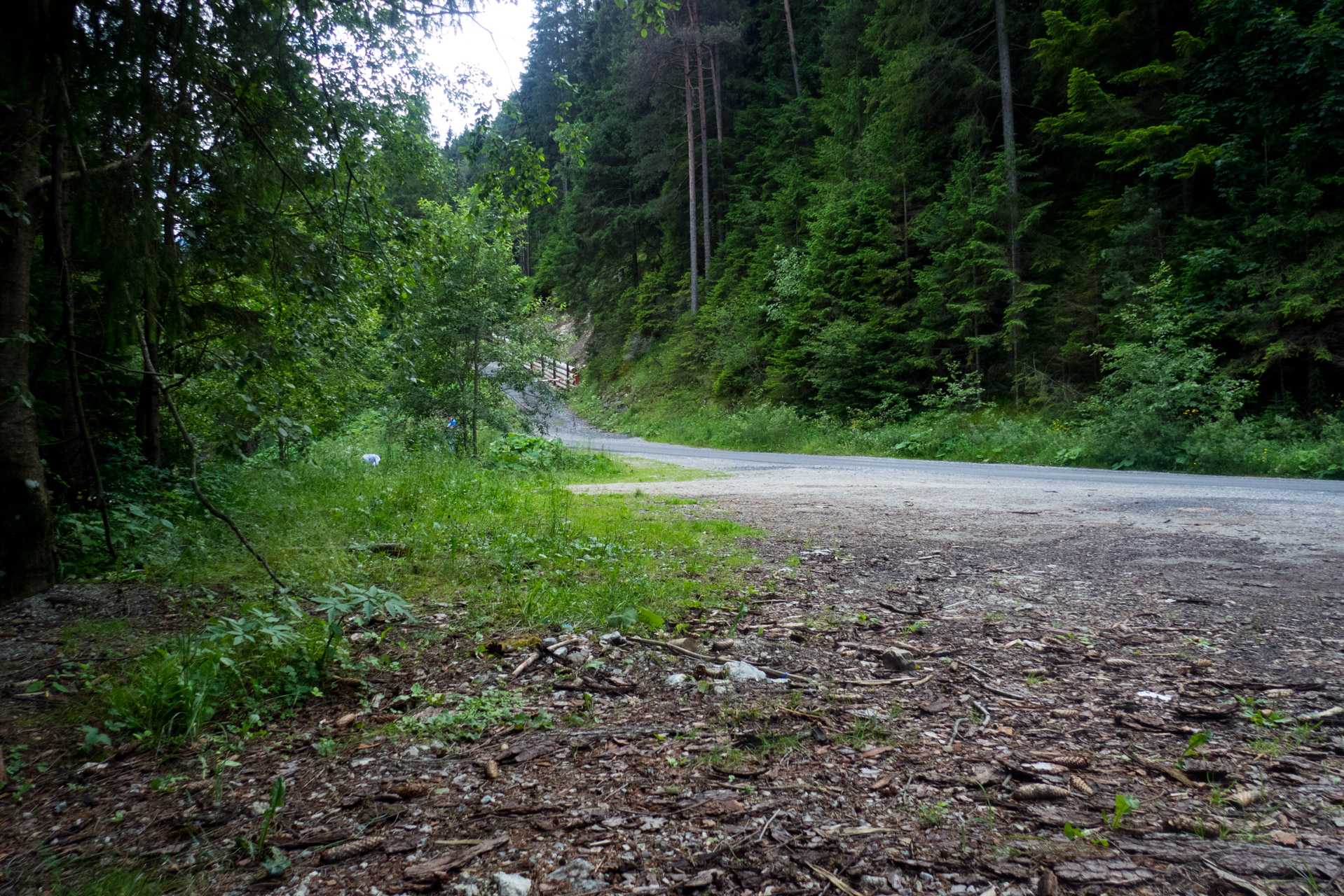 Krakova hoľa od Stanišovskej doliny, ústie (Nízke Tatry)