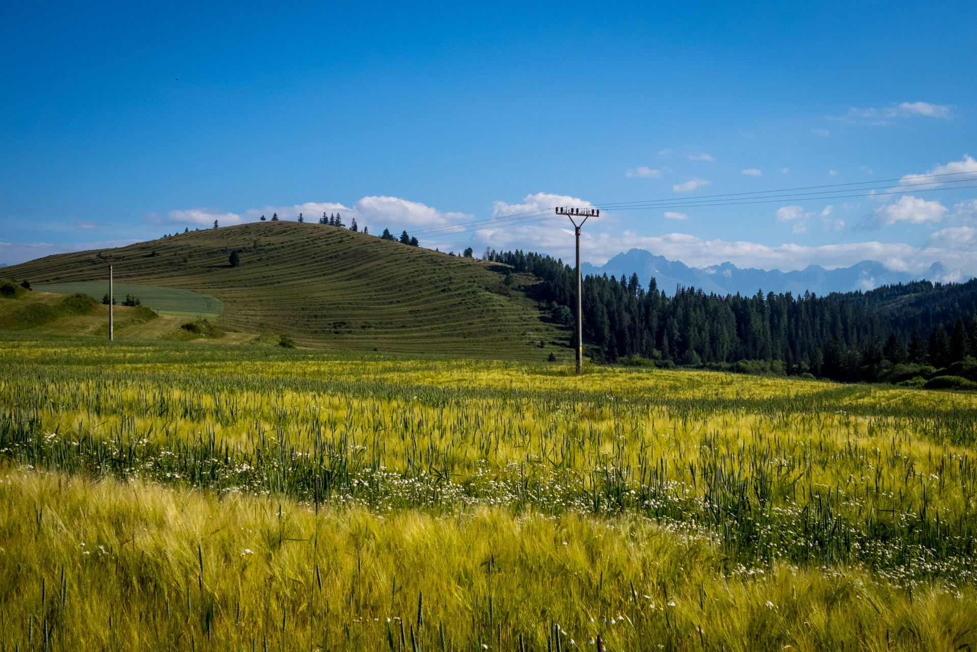 Kráľova hoľa a Ždiarske sedlo z Liptovskej Tepličky - Výpad (Nízke Tatry)