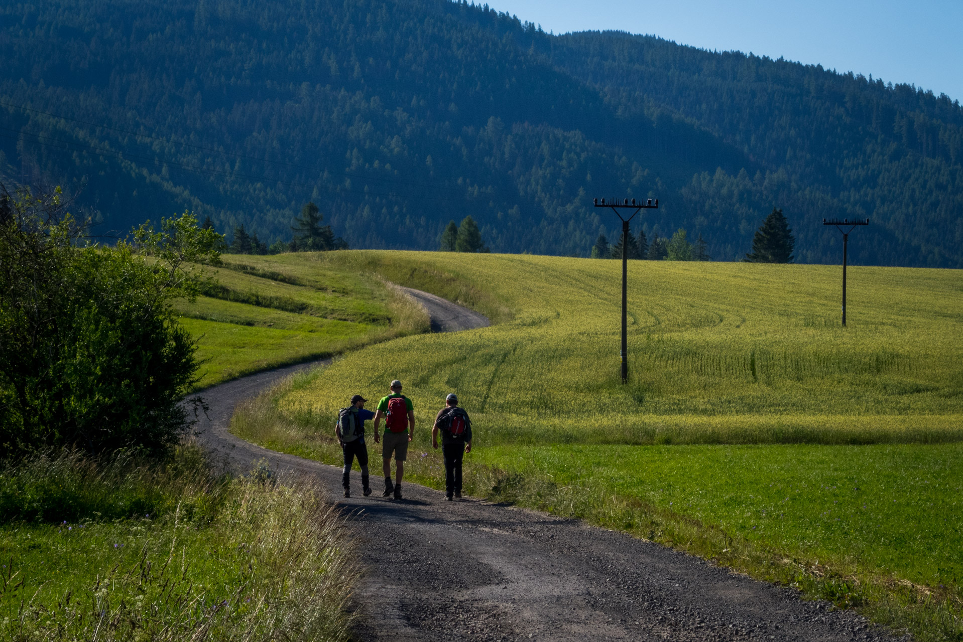 Kráľova hoľa a Ždiarske sedlo z Liptovskej Tepličky - Výpad (Nízke Tatry)