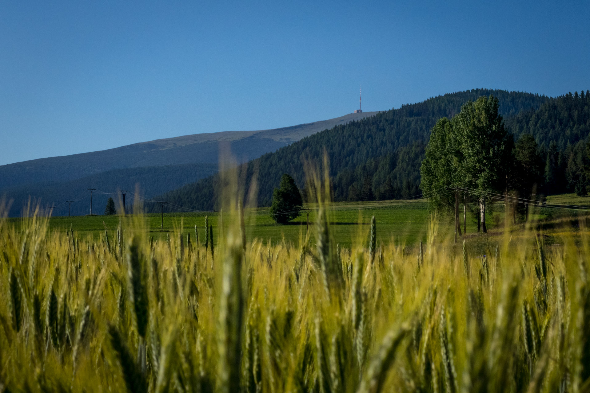 Kráľova hoľa a Ždiarske sedlo z Liptovskej Tepličky - Výpad (Nízke Tatry)