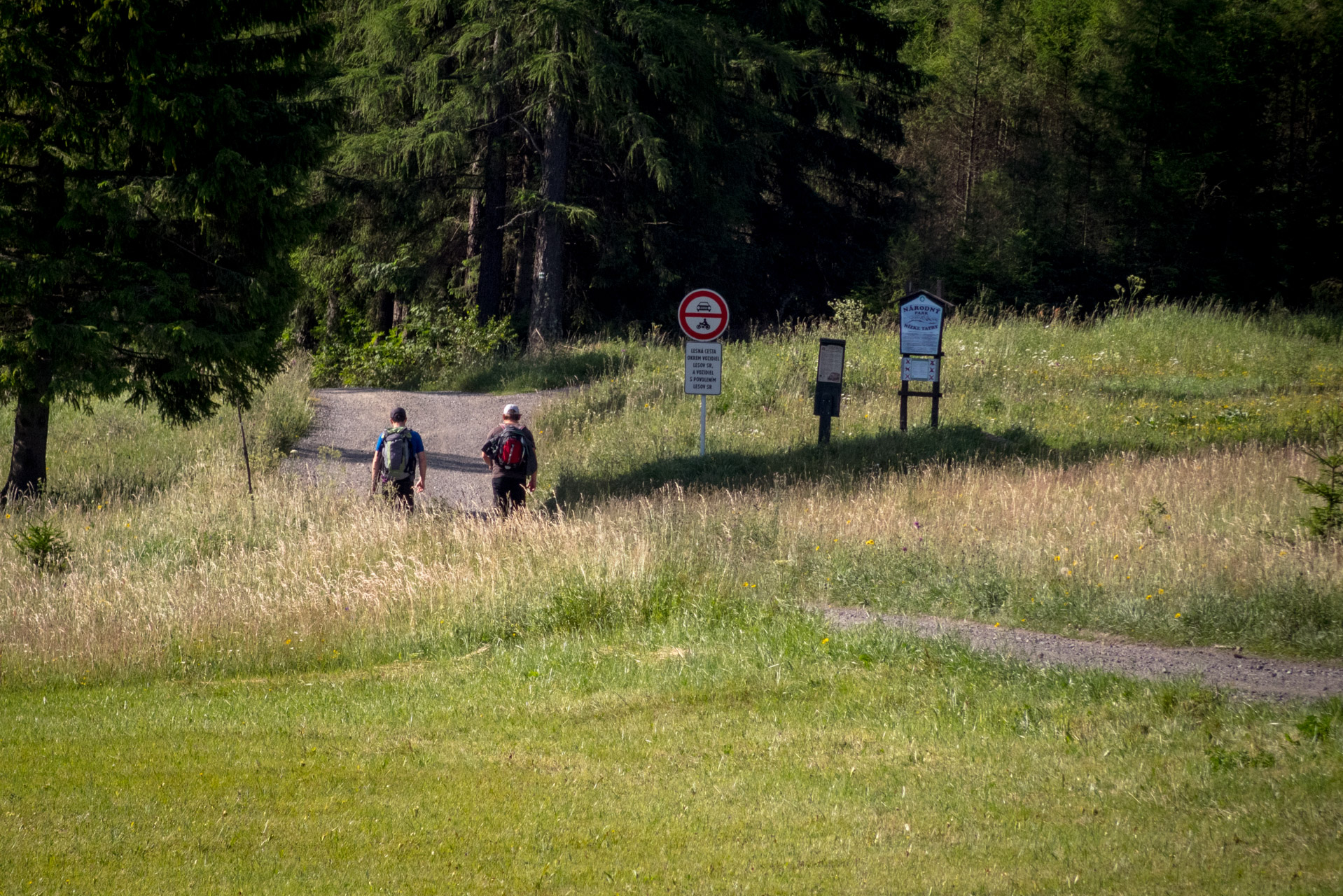 Kráľova hoľa a Ždiarske sedlo z Liptovskej Tepličky - Výpad (Nízke Tatry)