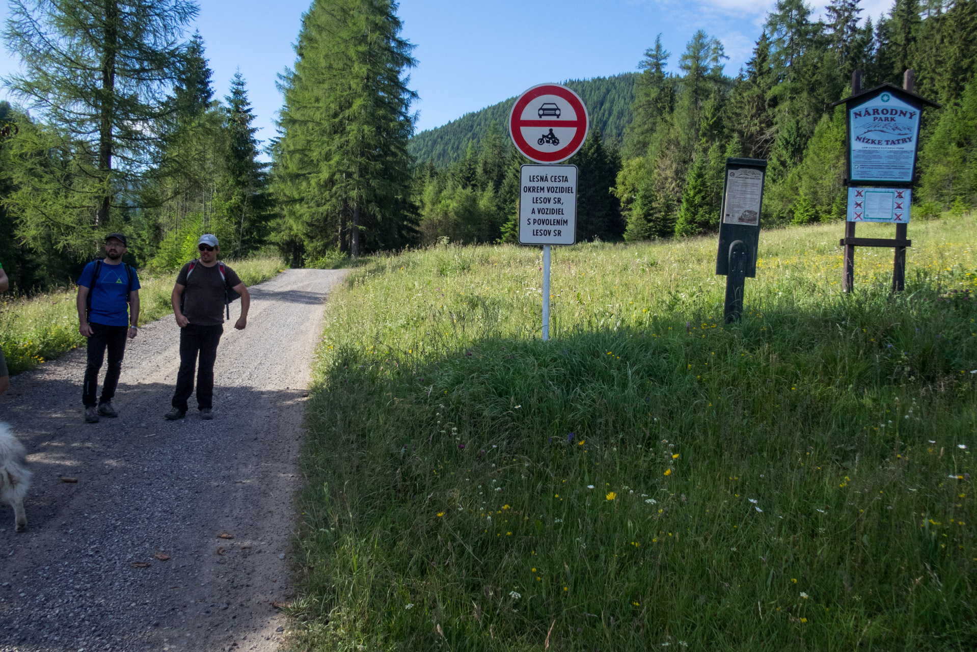 Kráľova hoľa a Ždiarske sedlo z Liptovskej Tepličky - Výpad (Nízke Tatry)