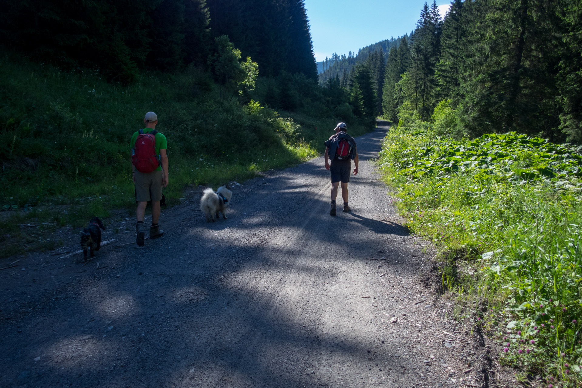 Kráľova hoľa a Ždiarske sedlo z Liptovskej Tepličky - Výpad (Nízke Tatry)