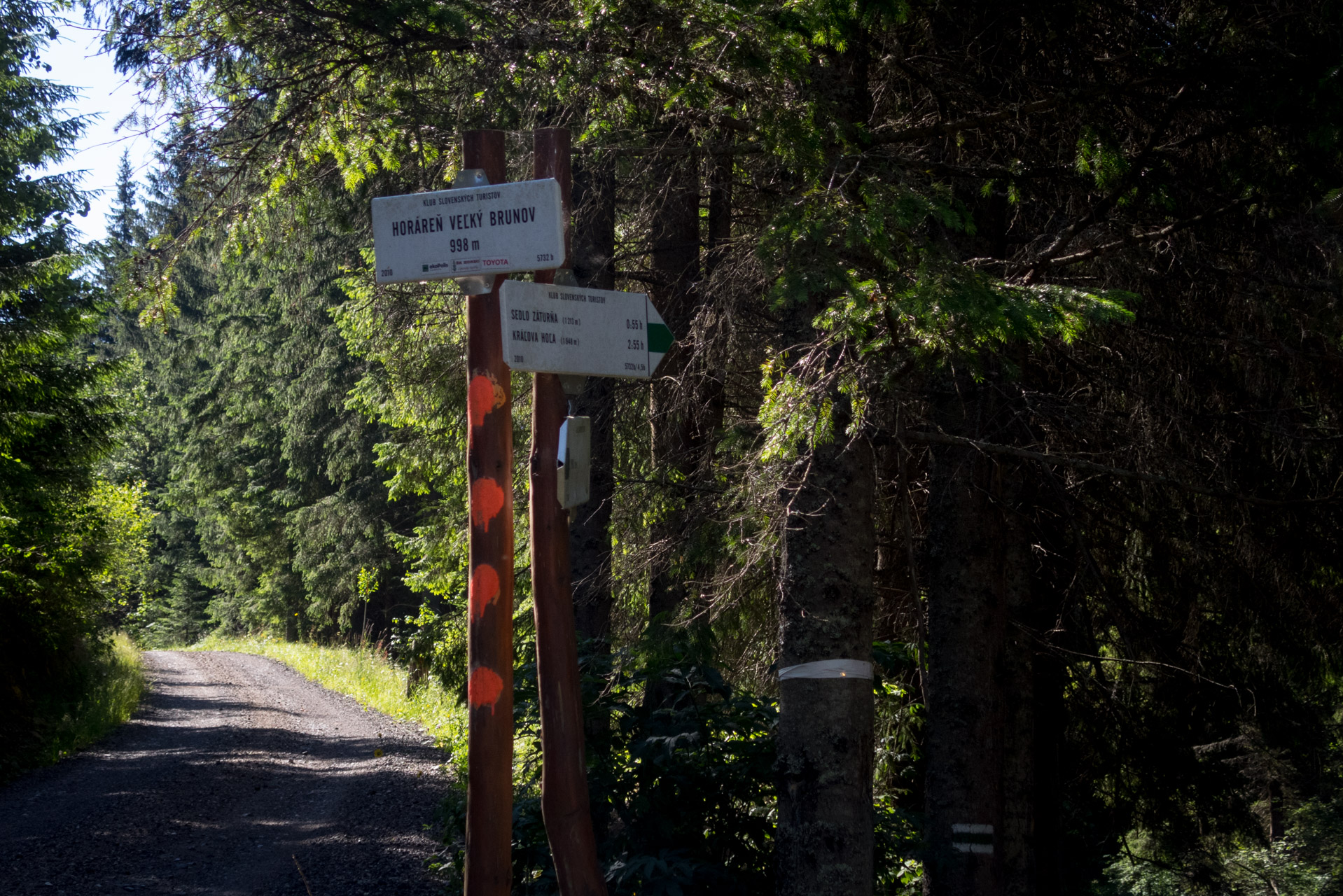 Kráľova hoľa a Ždiarske sedlo z Liptovskej Tepličky - Výpad (Nízke Tatry)