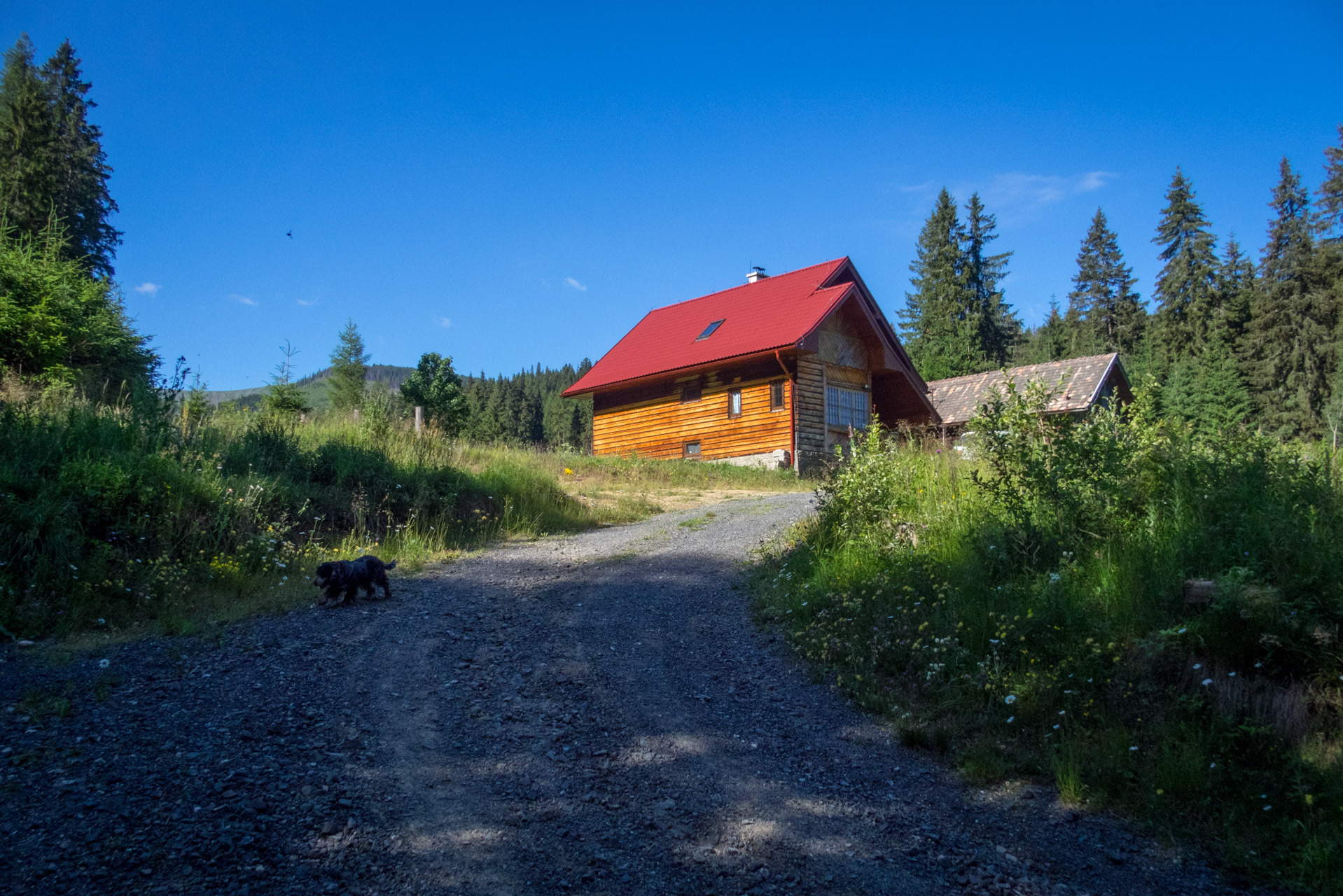 Kráľova hoľa a Ždiarske sedlo z Liptovskej Tepličky - Výpad (Nízke Tatry)