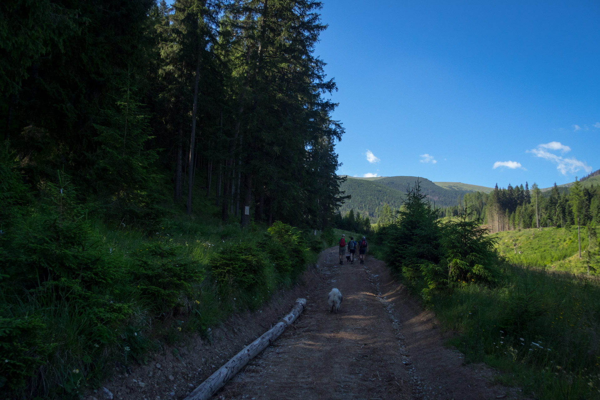 Kráľova hoľa a Ždiarske sedlo z Liptovskej Tepličky - Výpad (Nízke Tatry)