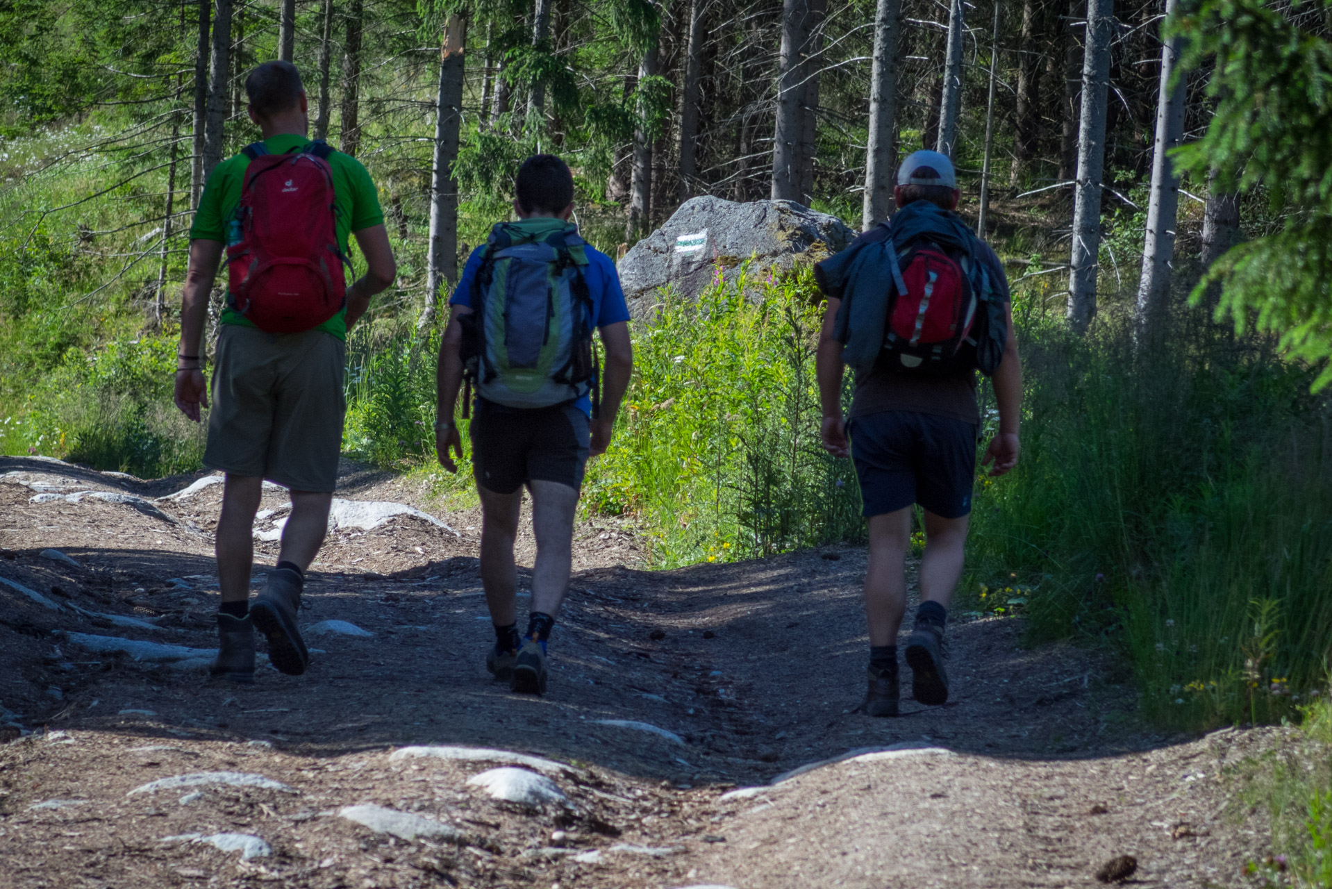 Kráľova hoľa a Ždiarske sedlo z Liptovskej Tepličky - Výpad (Nízke Tatry)