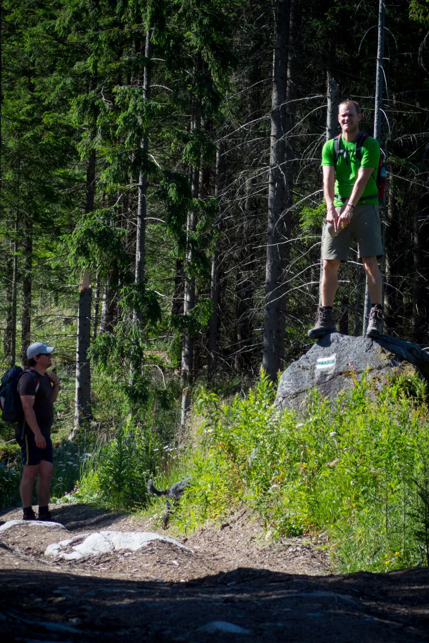 Kráľova hoľa a Ždiarske sedlo z Liptovskej Tepličky - Výpad (Nízke Tatry)