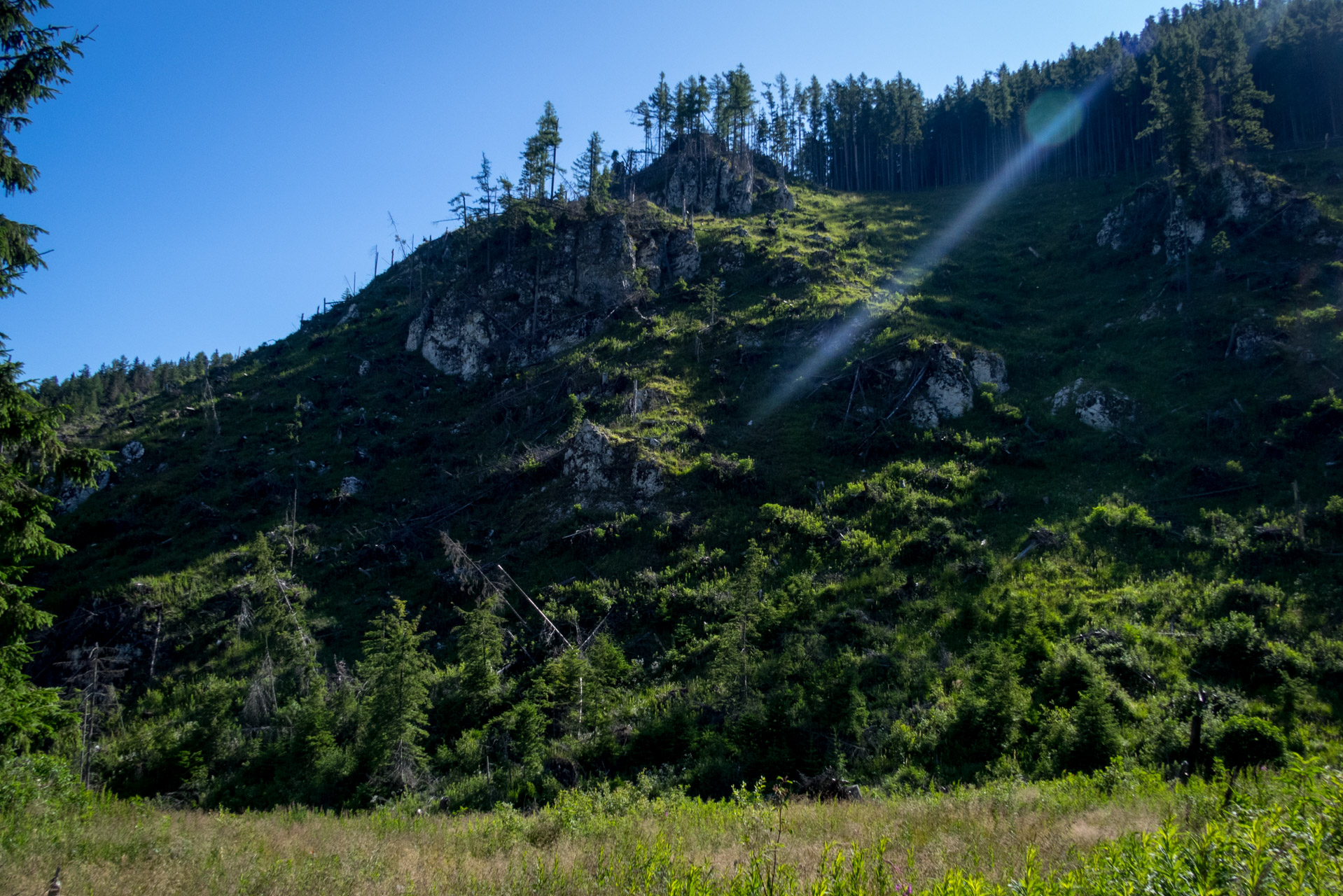 Kráľova hoľa a Ždiarske sedlo z Liptovskej Tepličky - Výpad (Nízke Tatry)