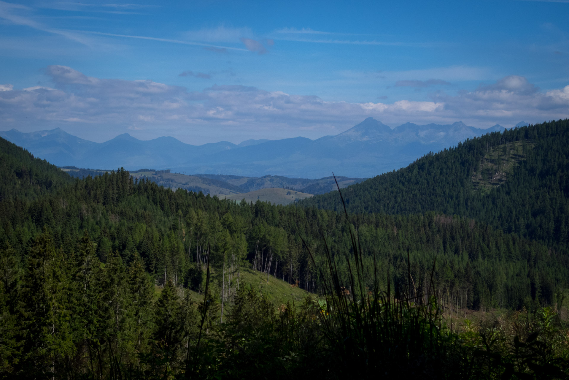 Kráľova hoľa a Ždiarske sedlo z Liptovskej Tepličky - Výpad (Nízke Tatry)