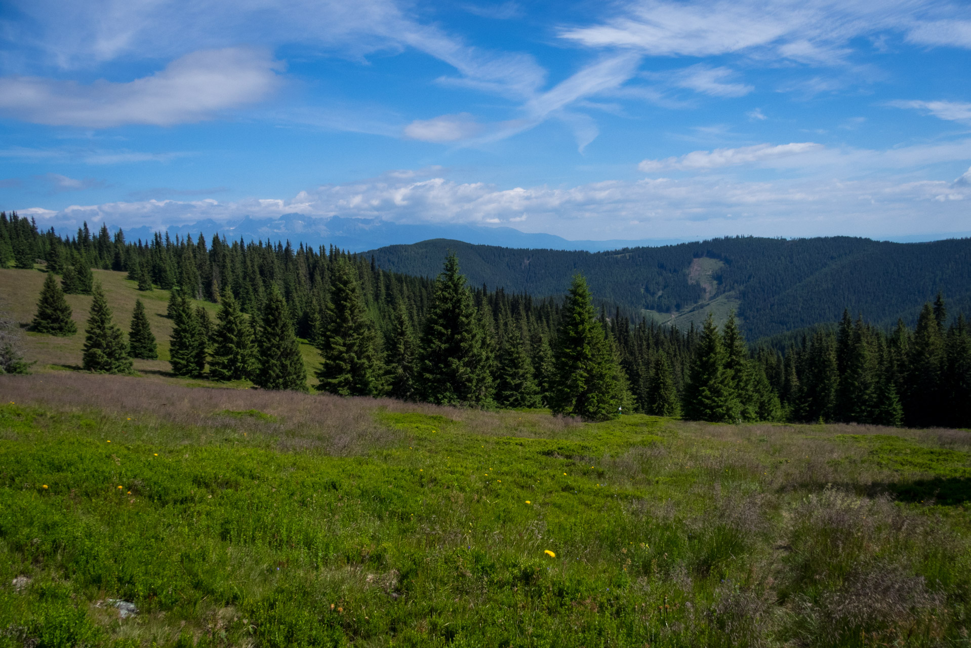 Kráľova hoľa a Ždiarske sedlo z Liptovskej Tepličky - Výpad (Nízke Tatry)