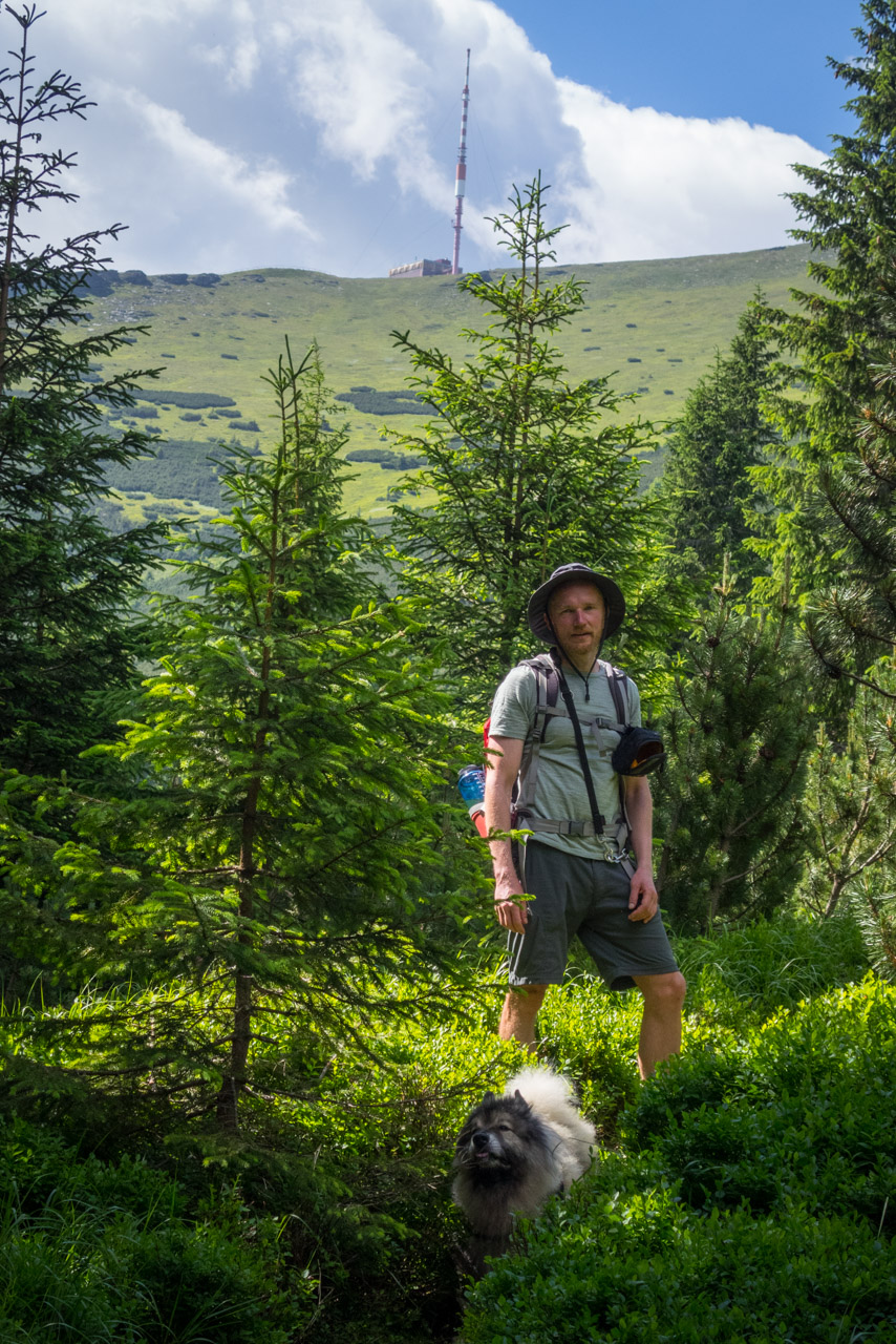 Kráľova hoľa a Ždiarske sedlo z Liptovskej Tepličky - Výpad (Nízke Tatry)