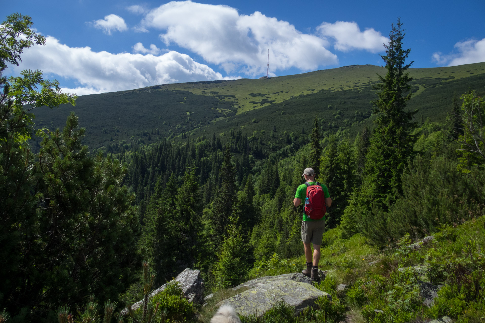 Kráľova hoľa a Ždiarske sedlo z Liptovskej Tepličky - Výpad (Nízke Tatry)