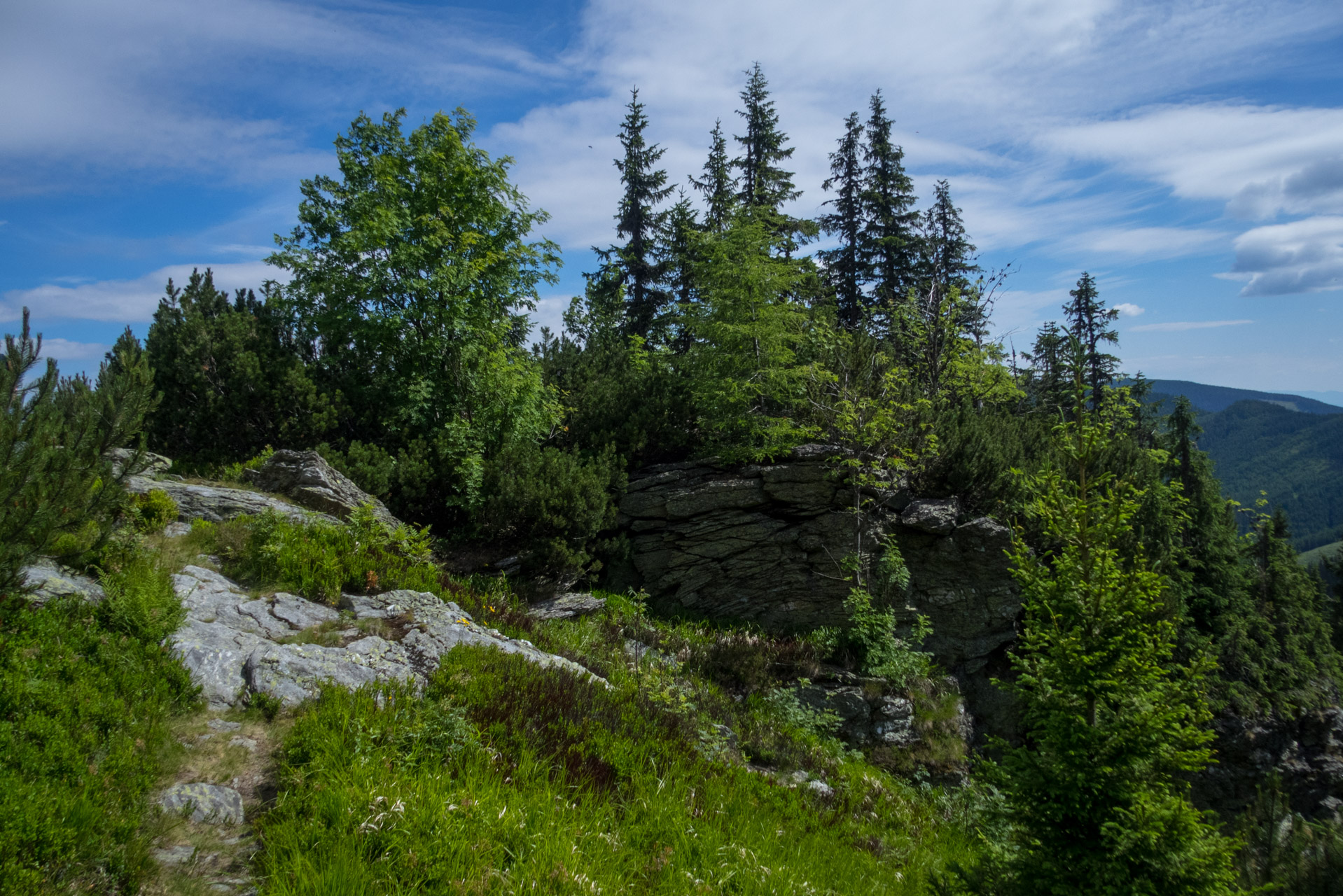 Kráľova hoľa a Ždiarske sedlo z Liptovskej Tepličky - Výpad (Nízke Tatry)