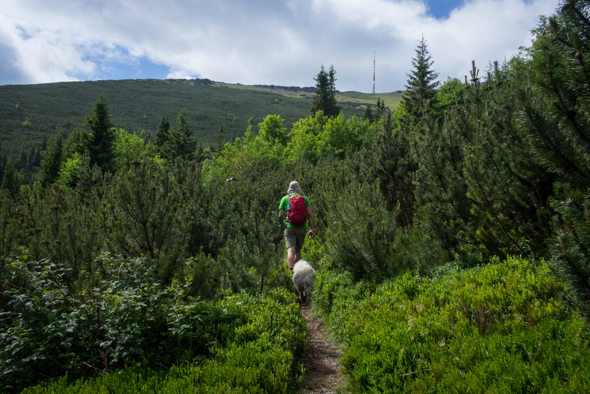 Kráľova hoľa a Ždiarske sedlo z Liptovskej Tepličky - Výpad (Nízke Tatry)